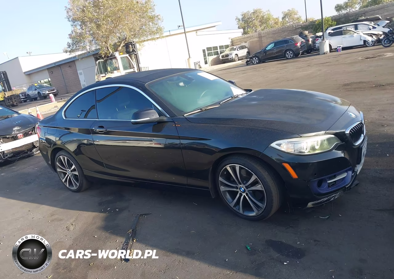 2016 BMW 228I VIN:WBA1F9C53GV742577 - 14