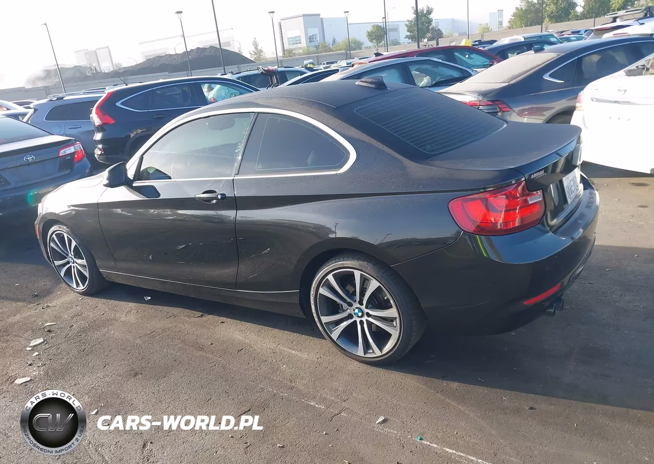 2016 BMW 228I VIN:WBA1F9C53GV742577 - 15