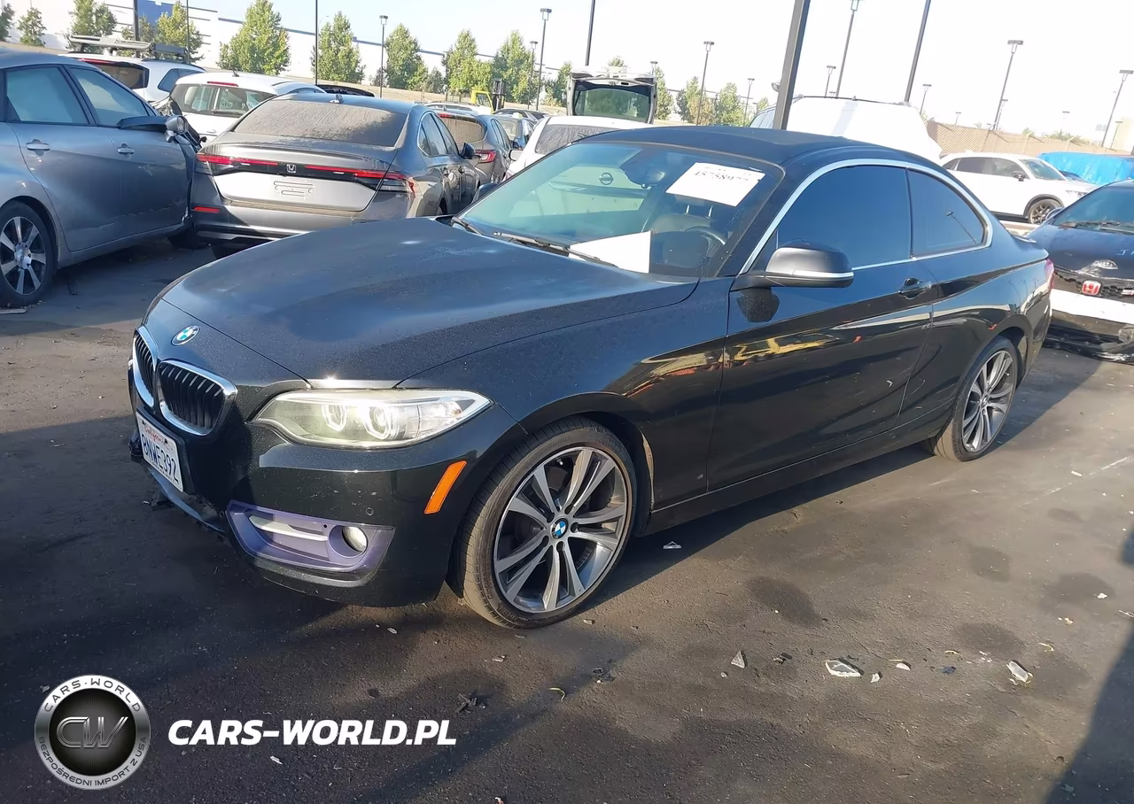 2016 BMW 228I VIN:WBA1F9C53GV742577 - 2