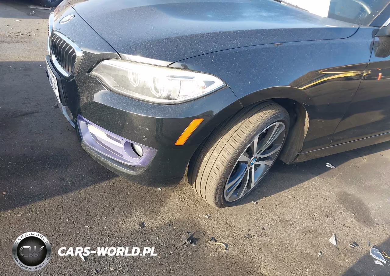 2016 BMW 228I VIN:WBA1F9C53GV742577 - 20