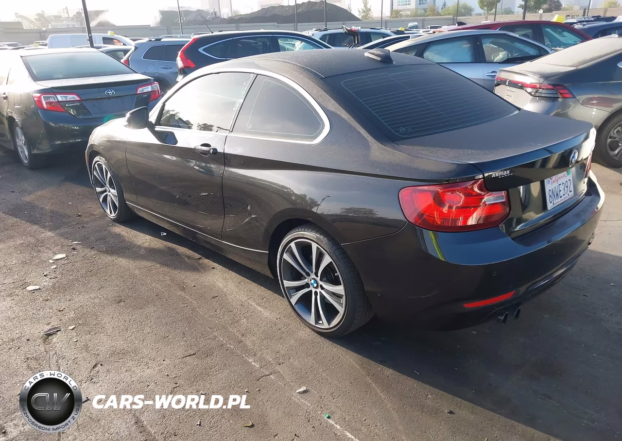 2016 BMW 228I VIN:WBA1F9C53GV742577 - 3