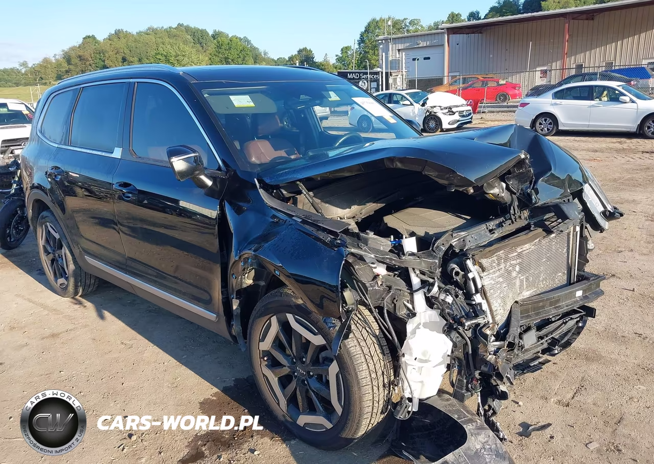 2023 Kia Telluride Ex VIN:5XYP34GC6PG380589 - 1