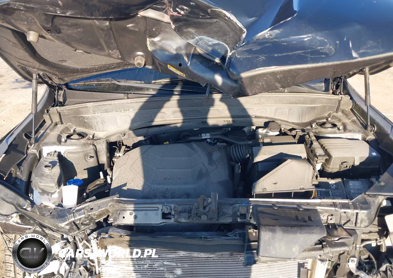 2023 Kia Telluride Ex VIN:5XYP34GC6PG380589 - 10