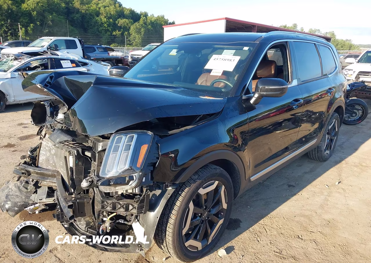 2023 Kia Telluride Ex VIN:5XYP34GC6PG380589 - 2