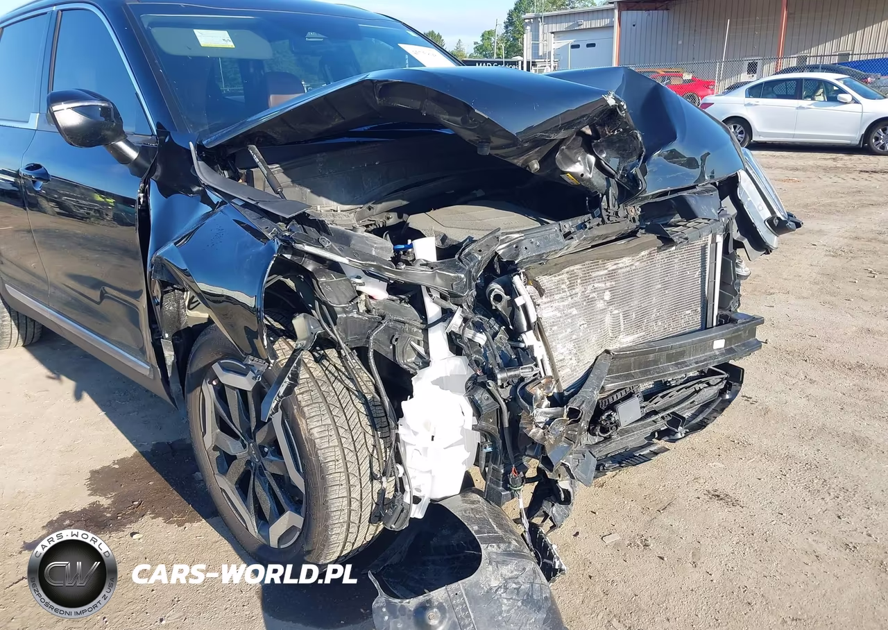 2023 Kia Telluride Ex VIN:5XYP34GC6PG380589 - 6