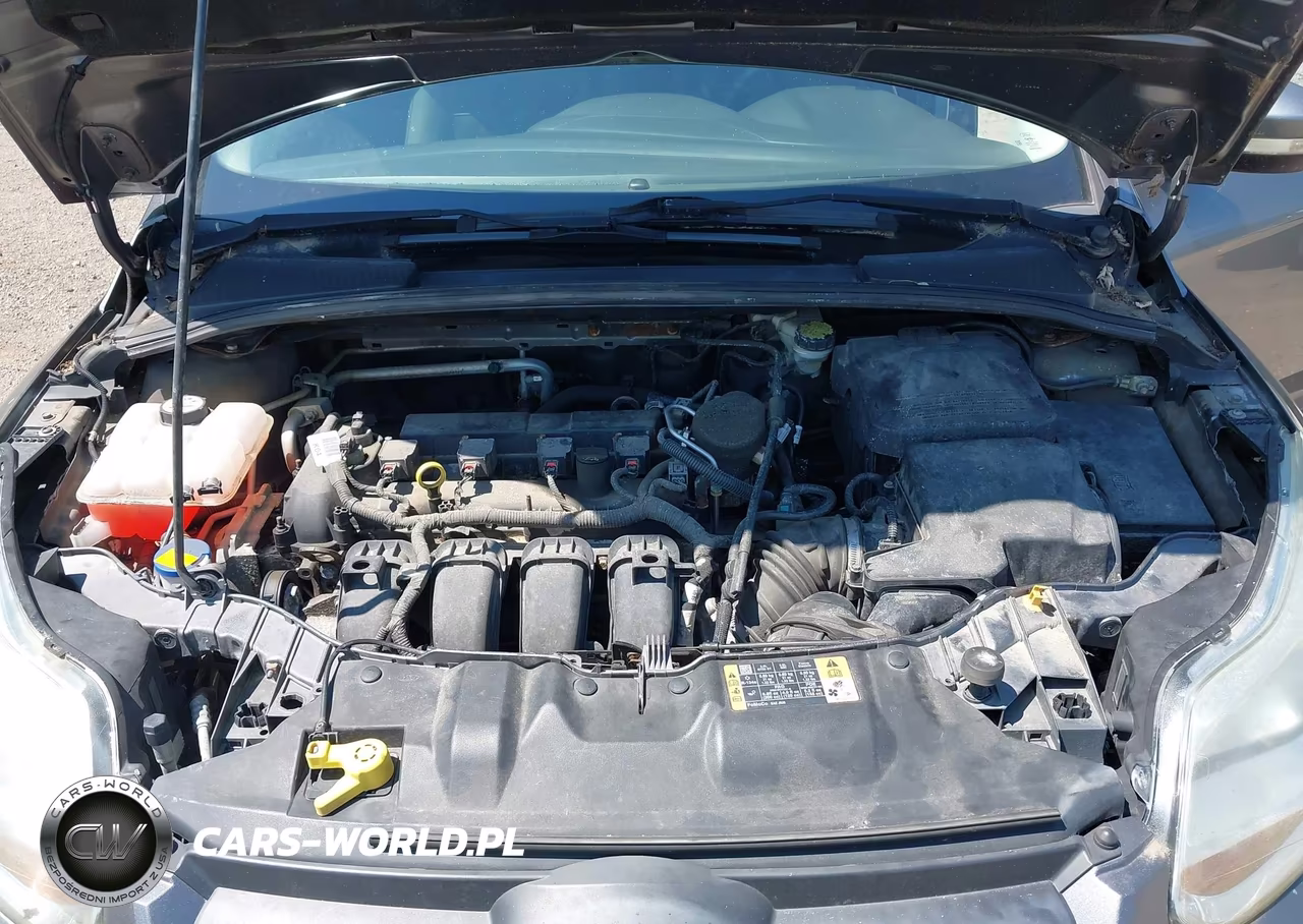 2014 Ford Focus Se VIN:1FADP3F2XEL450483 - 10