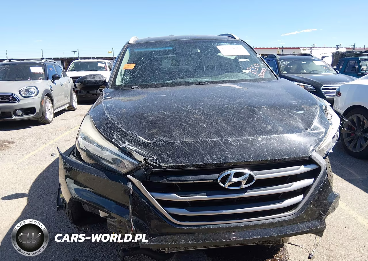 2017 Hyundai Tucson Se VIN:KM8J3CA45HU410954 - 12