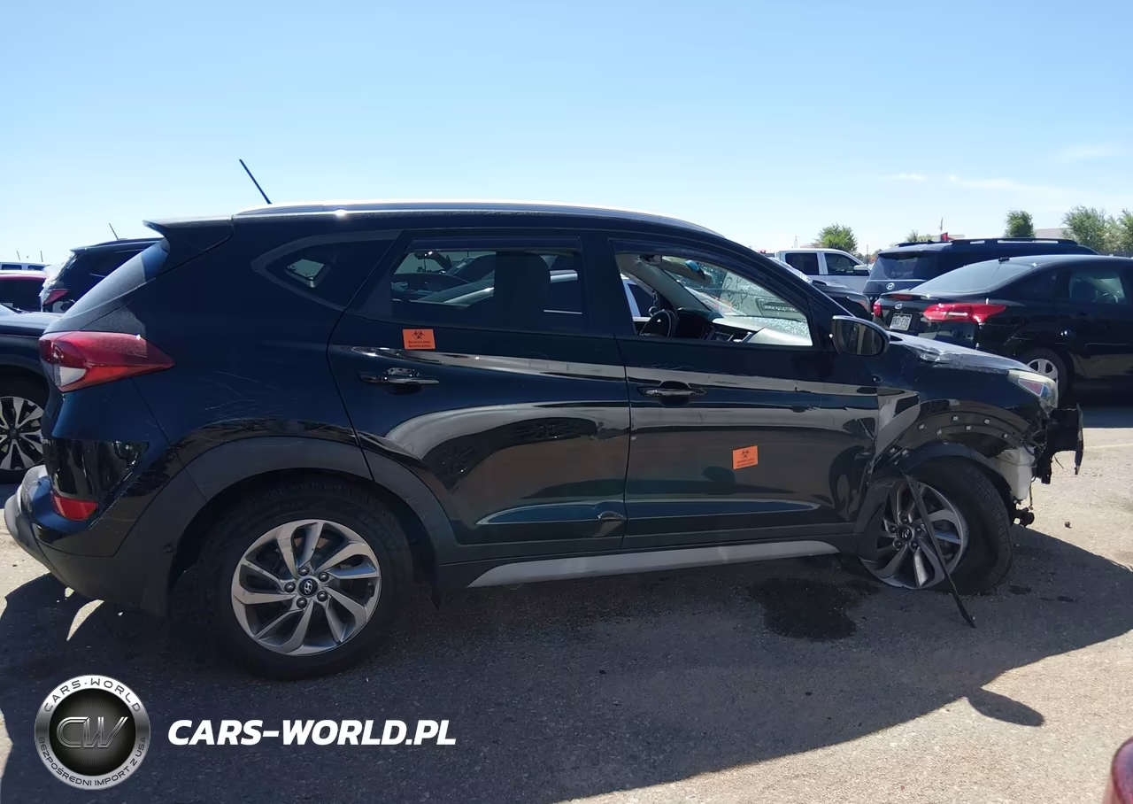 2017 Hyundai Tucson Se VIN:KM8J3CA45HU410954 - 13