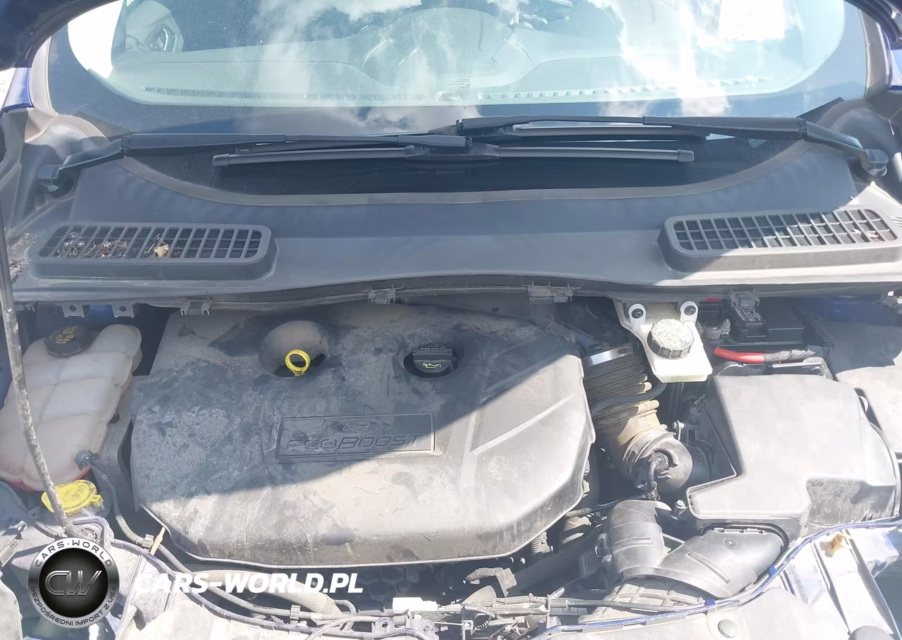 2015 Ford Escape Se VIN:1FMCU9G9XFUC44066 - 10