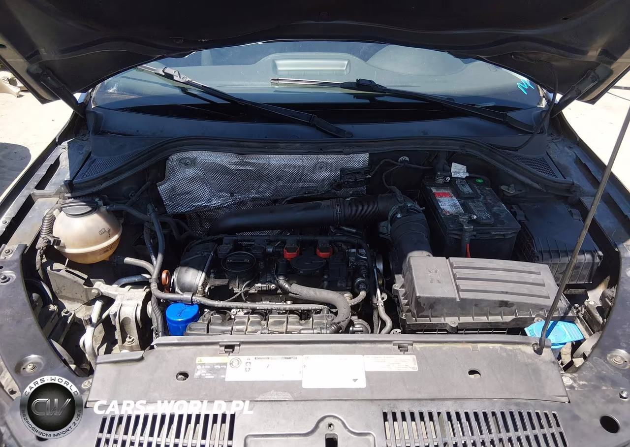 2015 Volkswagen Tiguan S VIN:WVGAV7AXXFW566632 - 10