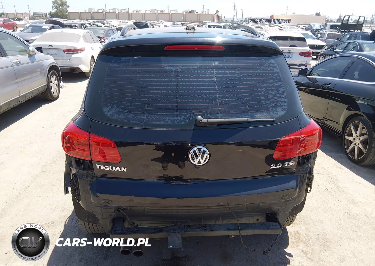 2015 Volkswagen Tiguan S VIN:WVGAV7AXXFW566632 - 17