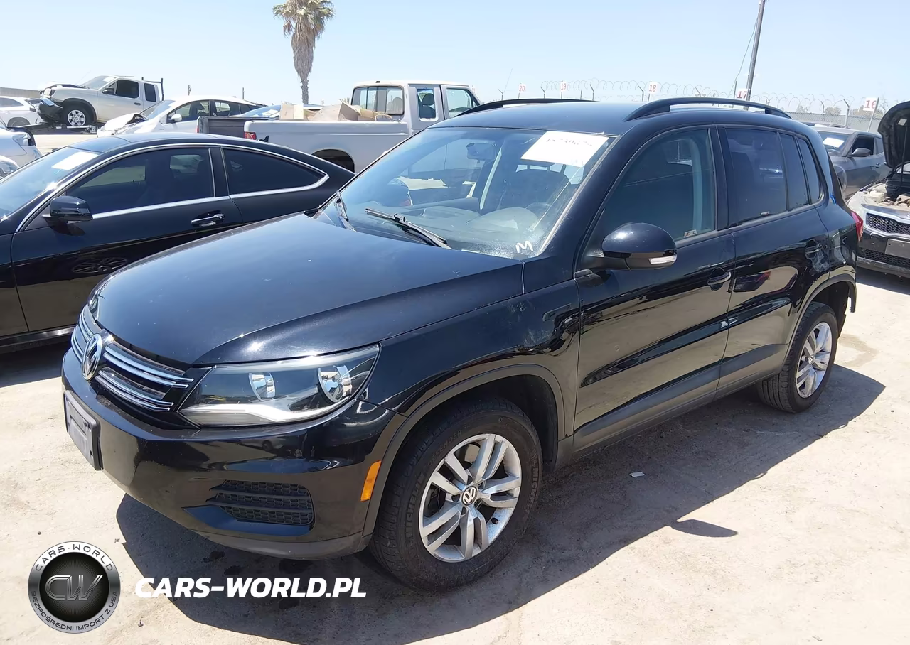 2015 Volkswagen Tiguan S VIN:WVGAV7AXXFW566632 - 2
