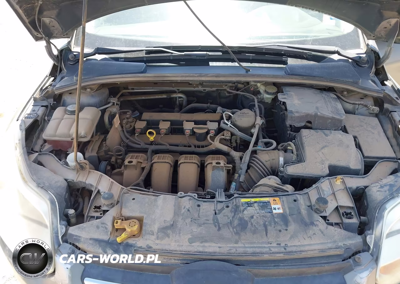 2013 Ford Focus Se VIN:1FADP3F21DL190389 - 10