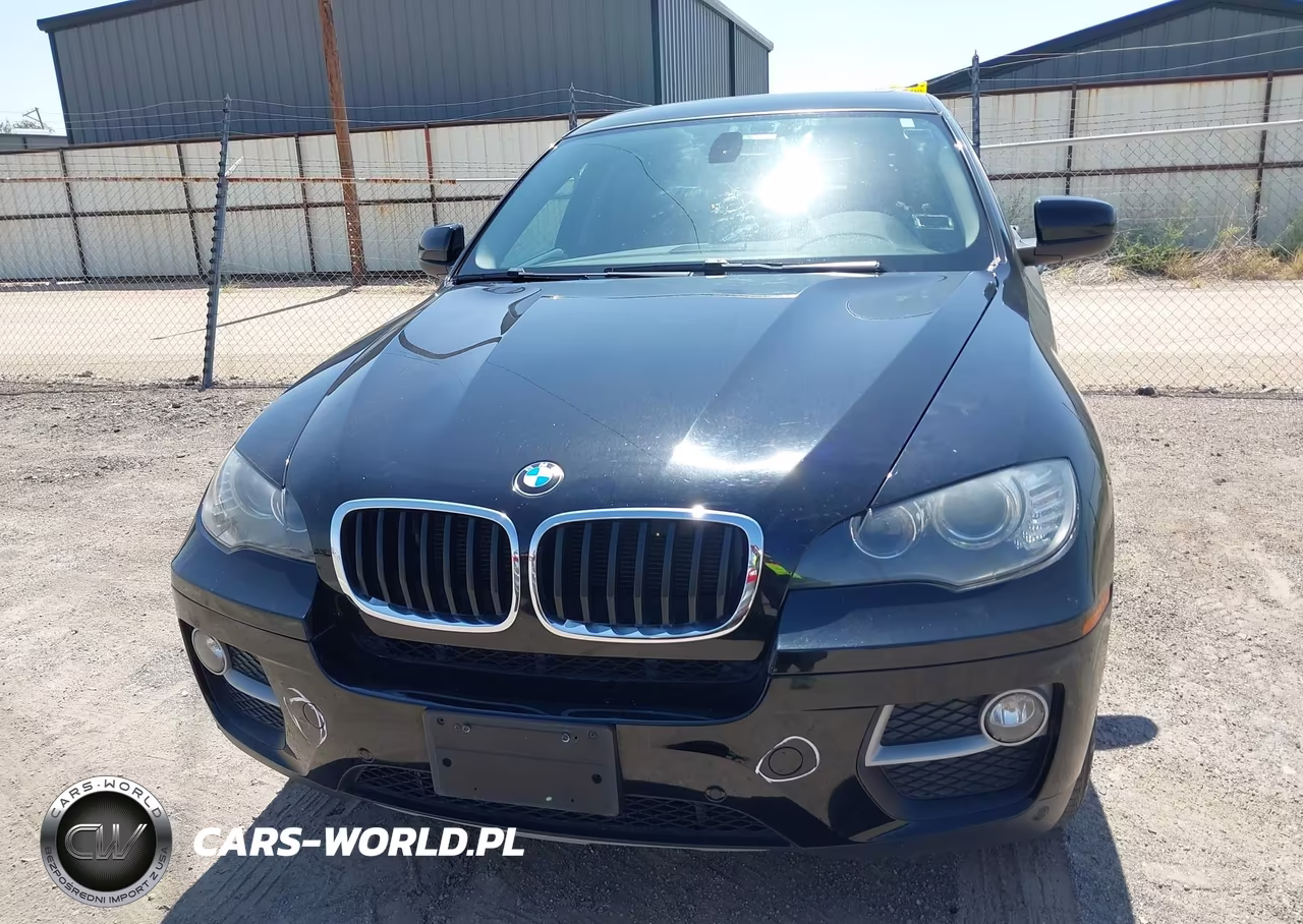 2014 BMW X6 xDrive35I VIN:5UXFG2C56E0C45385 - 12