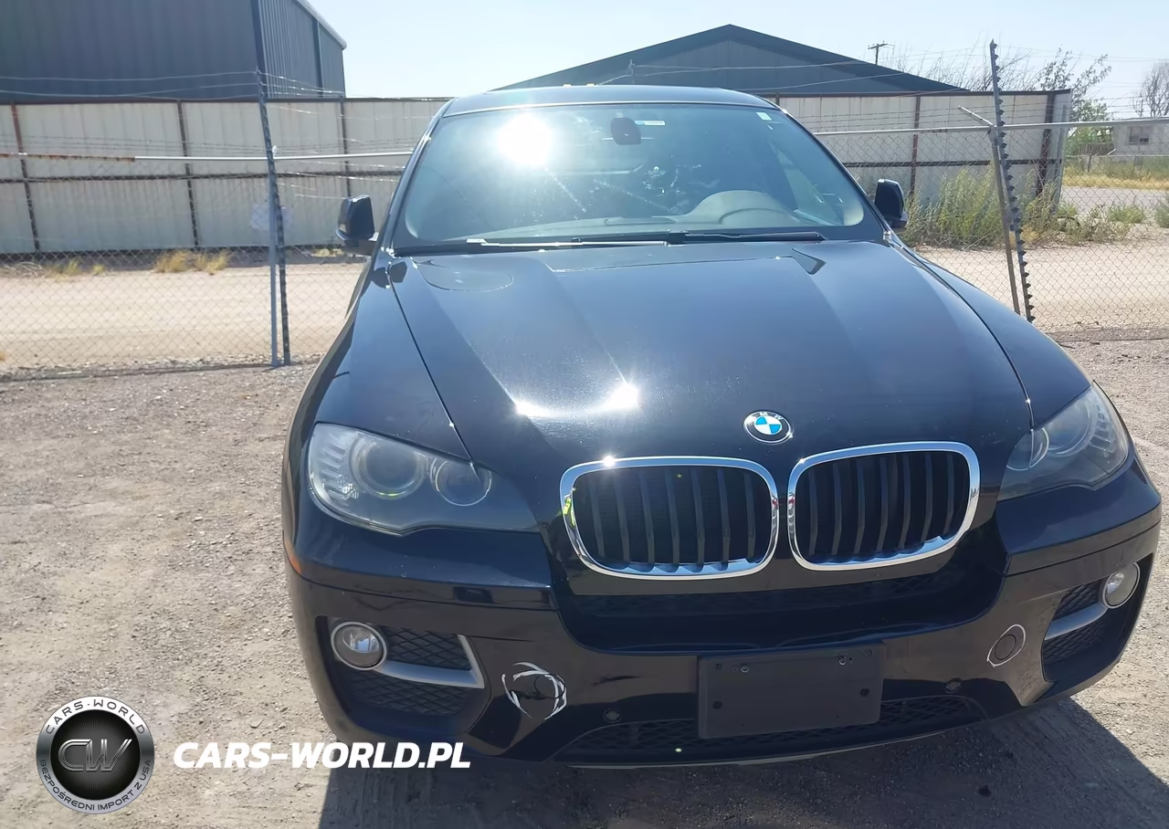 2014 BMW X6 xDrive35I VIN:5UXFG2C56E0C45385 - 6