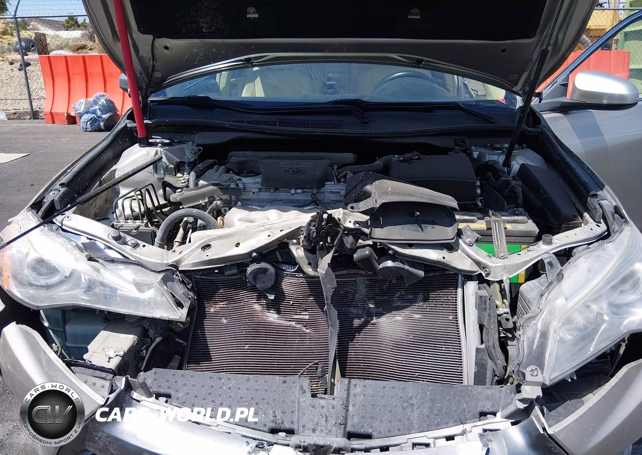 2016 Toyota Camry Xle VIN:4T4BF1FK7GR562231 - 10
