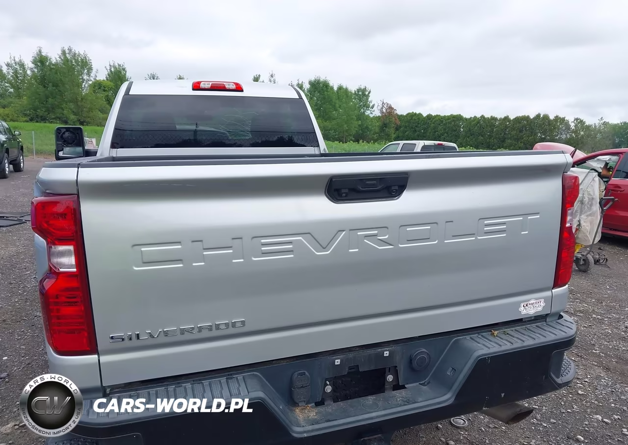 2020 Chevrolet Silverado 2500Hd 4Wd Long Bed Wt VIN:1GC3YLE78LF237916 - 19