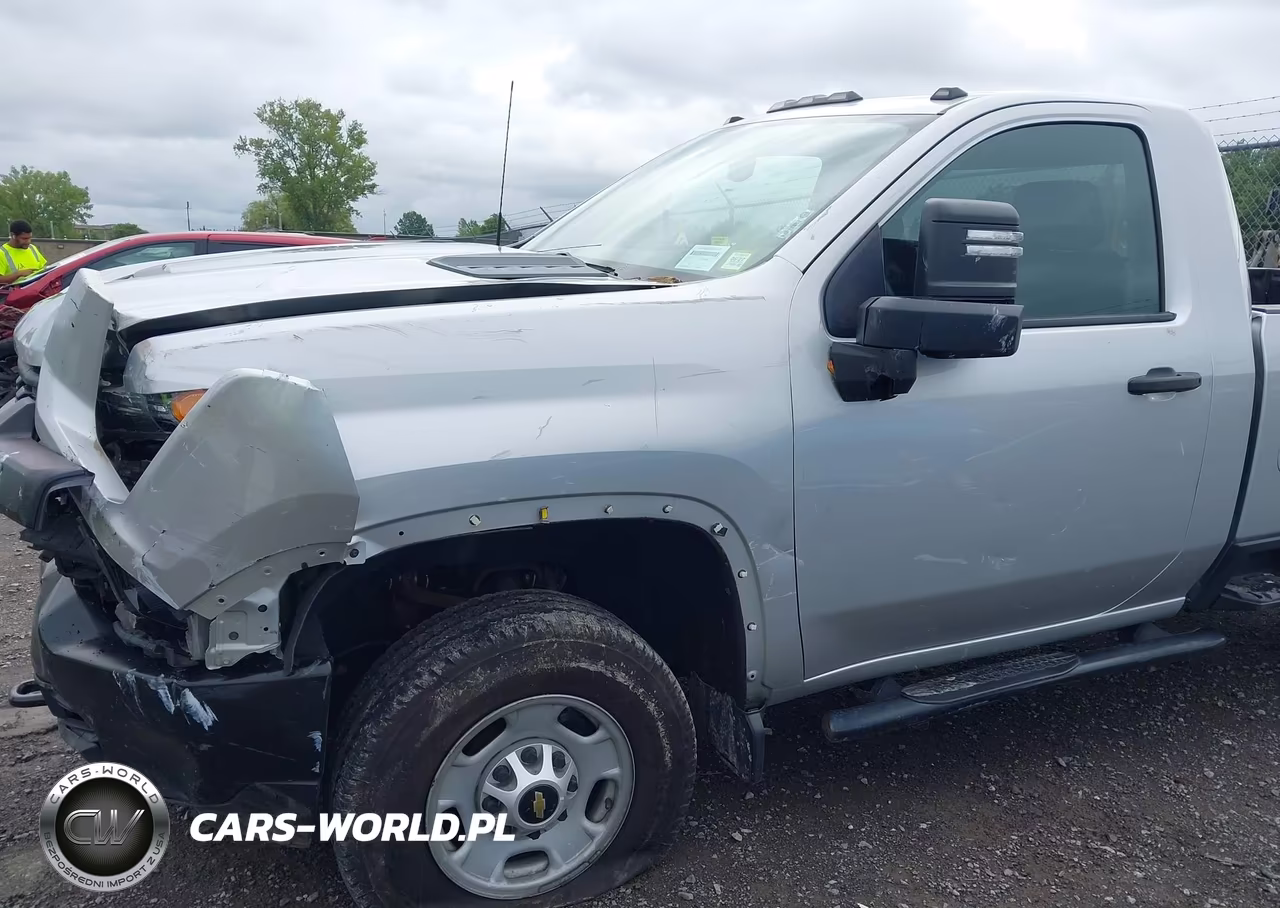 2020 Chevrolet Silverado 2500Hd 4Wd Long Bed Wt VIN:1GC3YLE78LF237916 - 20