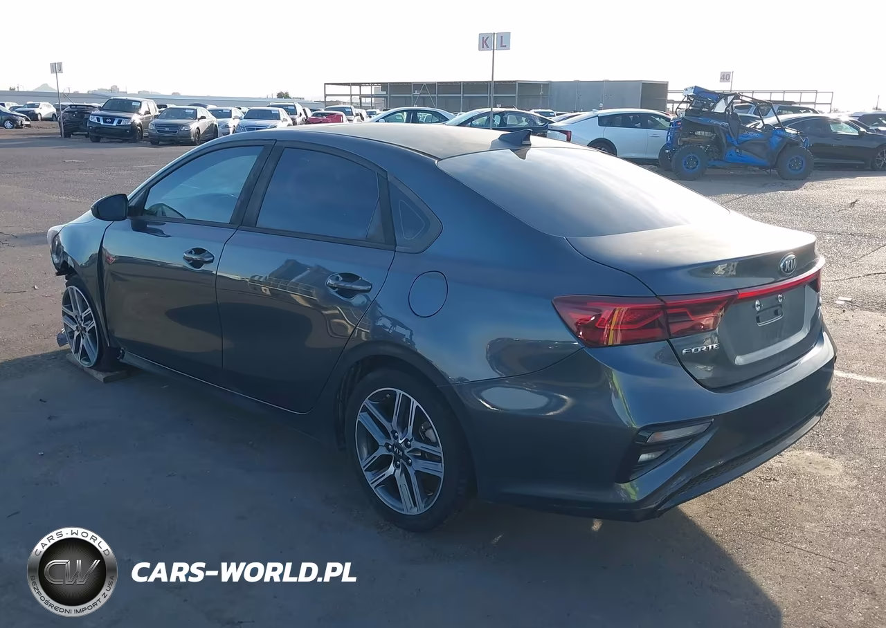 2019 Kia Forte S VIN:3KPF34AD5KE011967 - 3