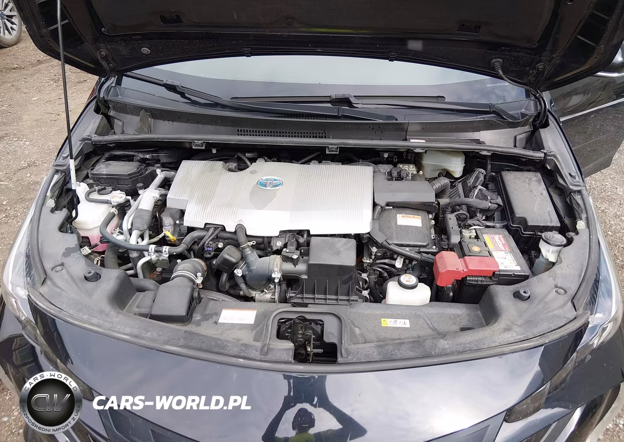2021 Toyota Prius Prime Xle VIN:JTDKAMFP2M3177087 - 10