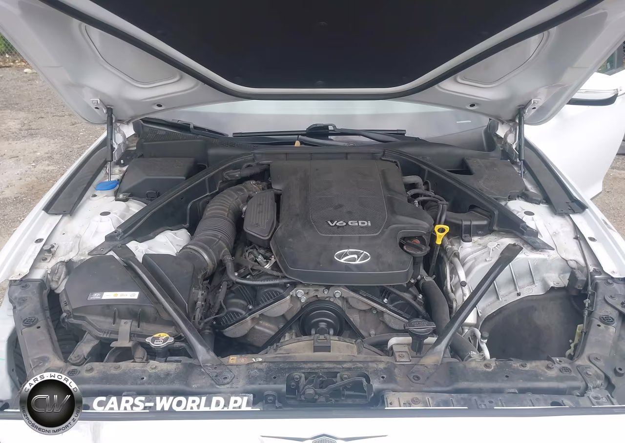 2015 Hyundai Genesis 3.8 VIN:KMHGN4JE4FU054173 - 10