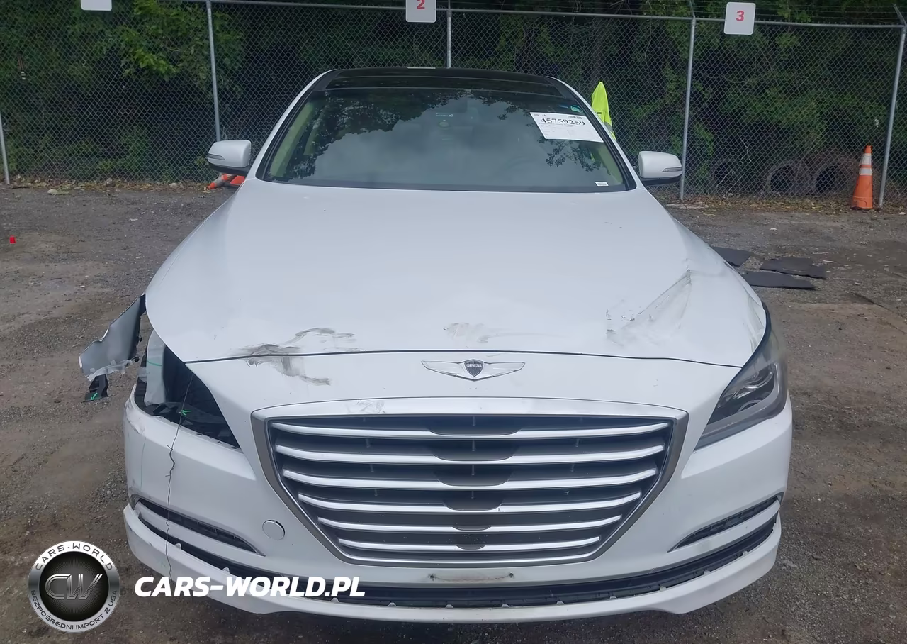 2015 Hyundai Genesis 3.8 VIN:KMHGN4JE4FU054173 - 13