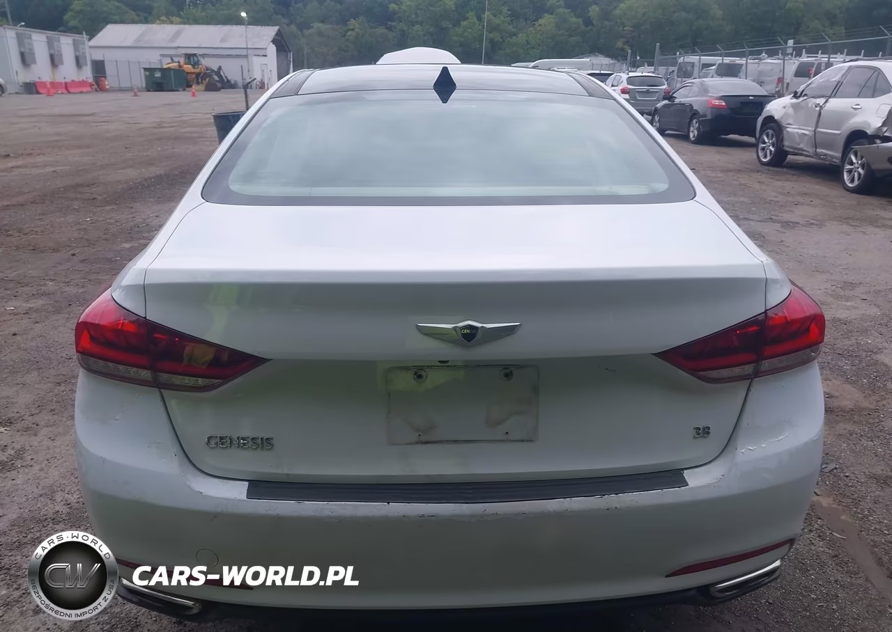 2015 Hyundai Genesis 3.8 VIN:KMHGN4JE4FU054173 - 17