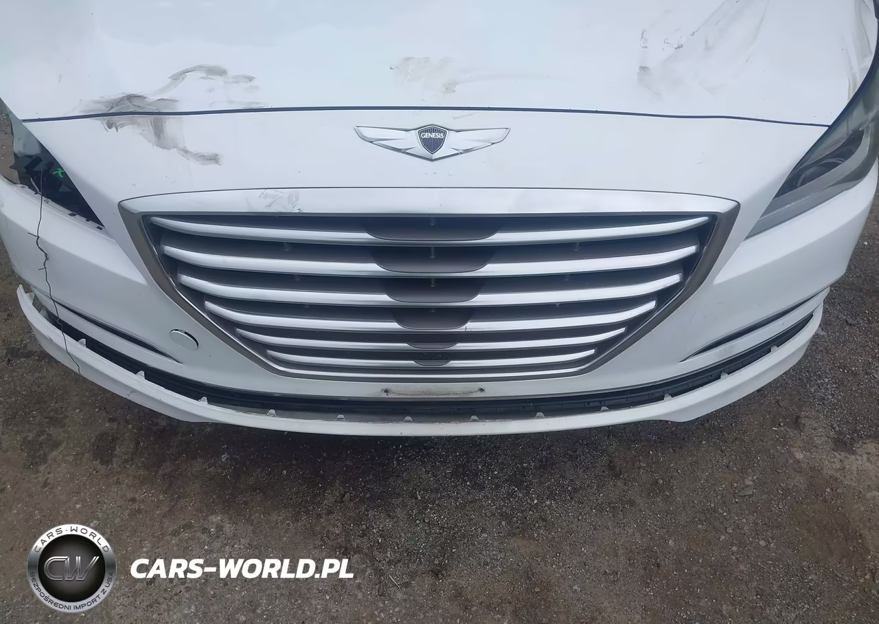 2015 Hyundai Genesis 3.8 VIN:KMHGN4JE4FU054173 - 18
