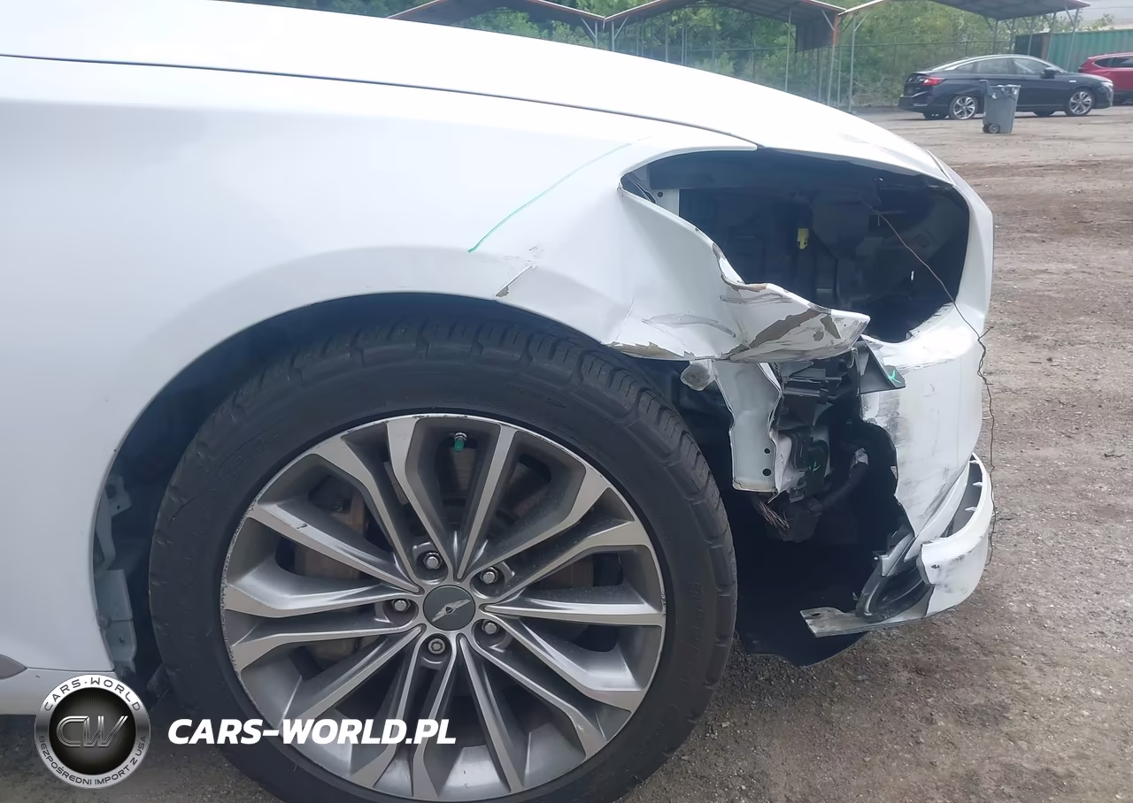 2015 Hyundai Genesis 3.8 VIN:KMHGN4JE4FU054173 - 19