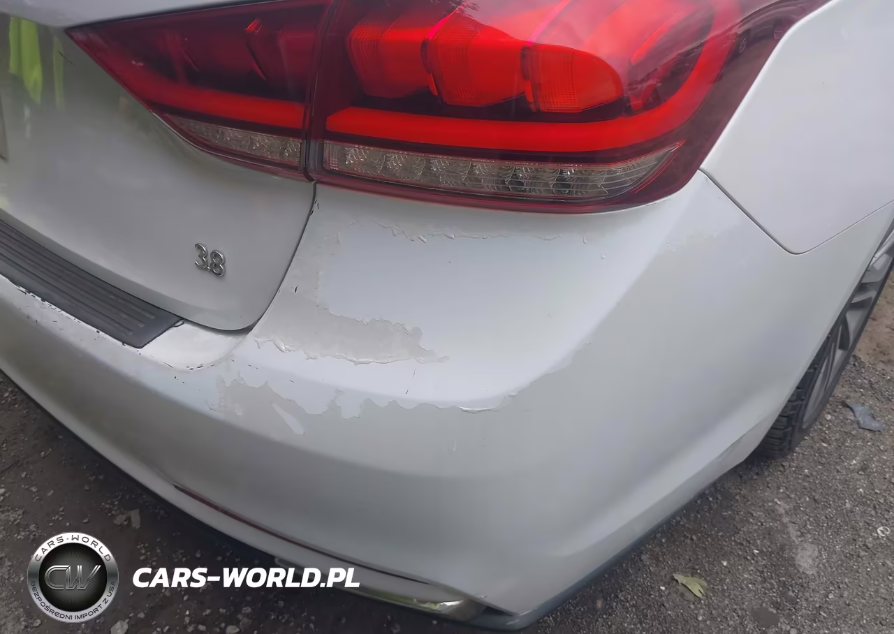 2015 Hyundai Genesis 3.8 VIN:KMHGN4JE4FU054173 - 20