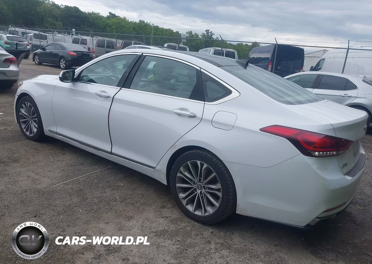 2015 Hyundai Genesis 3.8 VIN:KMHGN4JE4FU054173 - 3