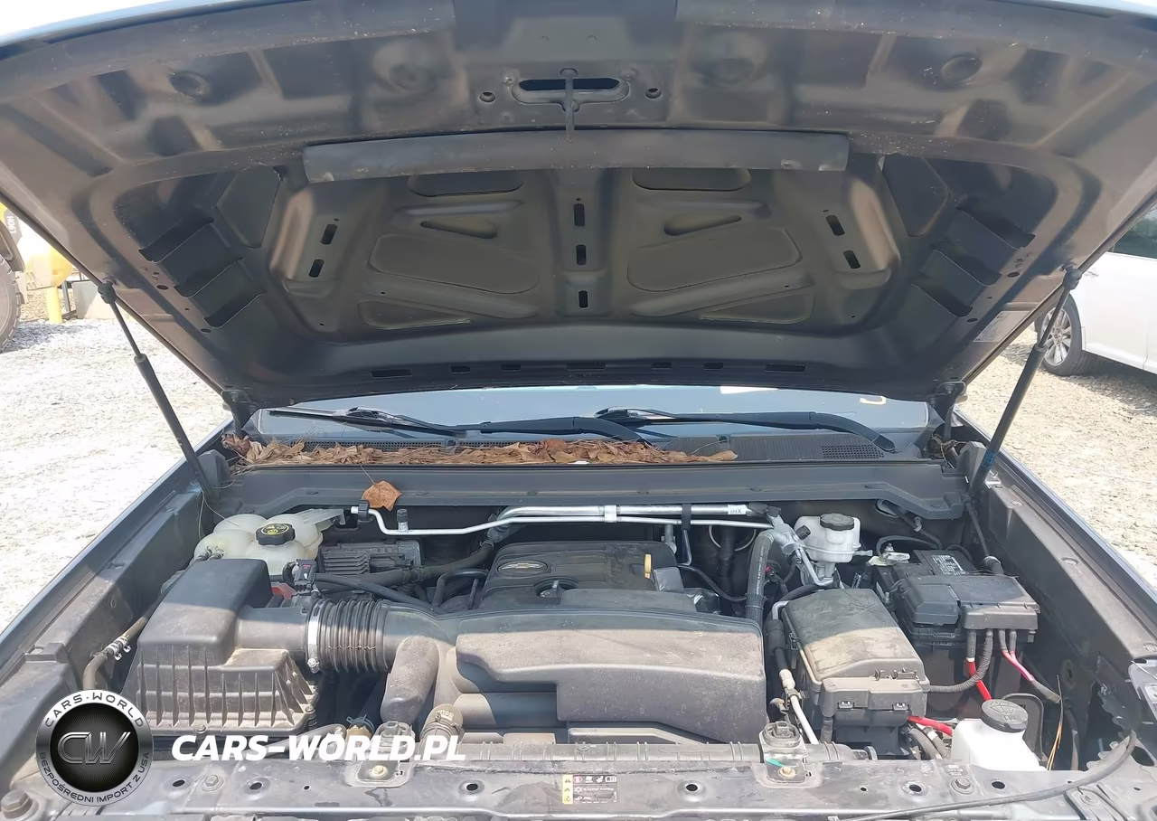 2020 Chevrolet Colorado 2Wd Long Box Wt VIN:1GCHSBEA4L1138424 - 10