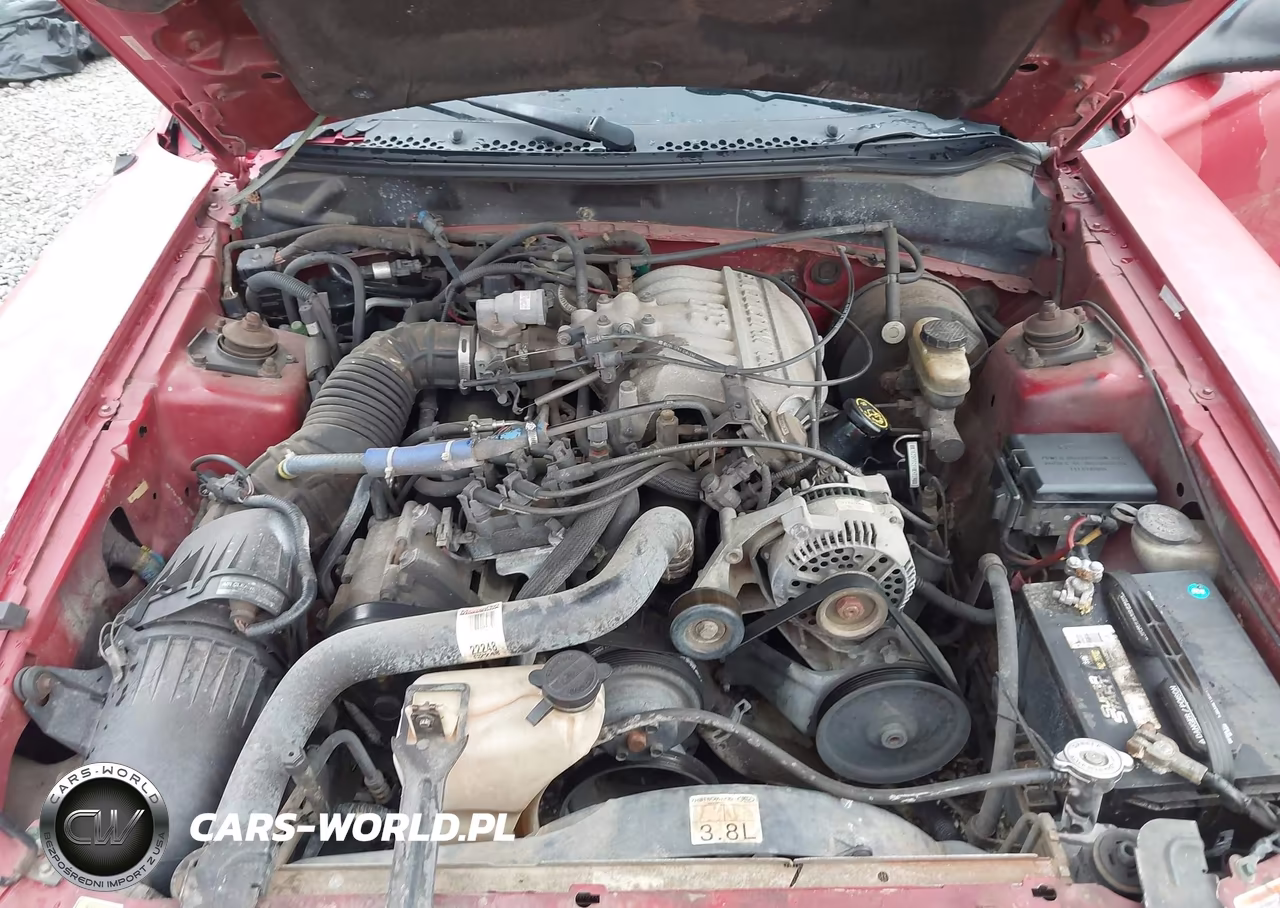 1998 Ford Mustang VIN:1FAFP4442WF271776 - 10