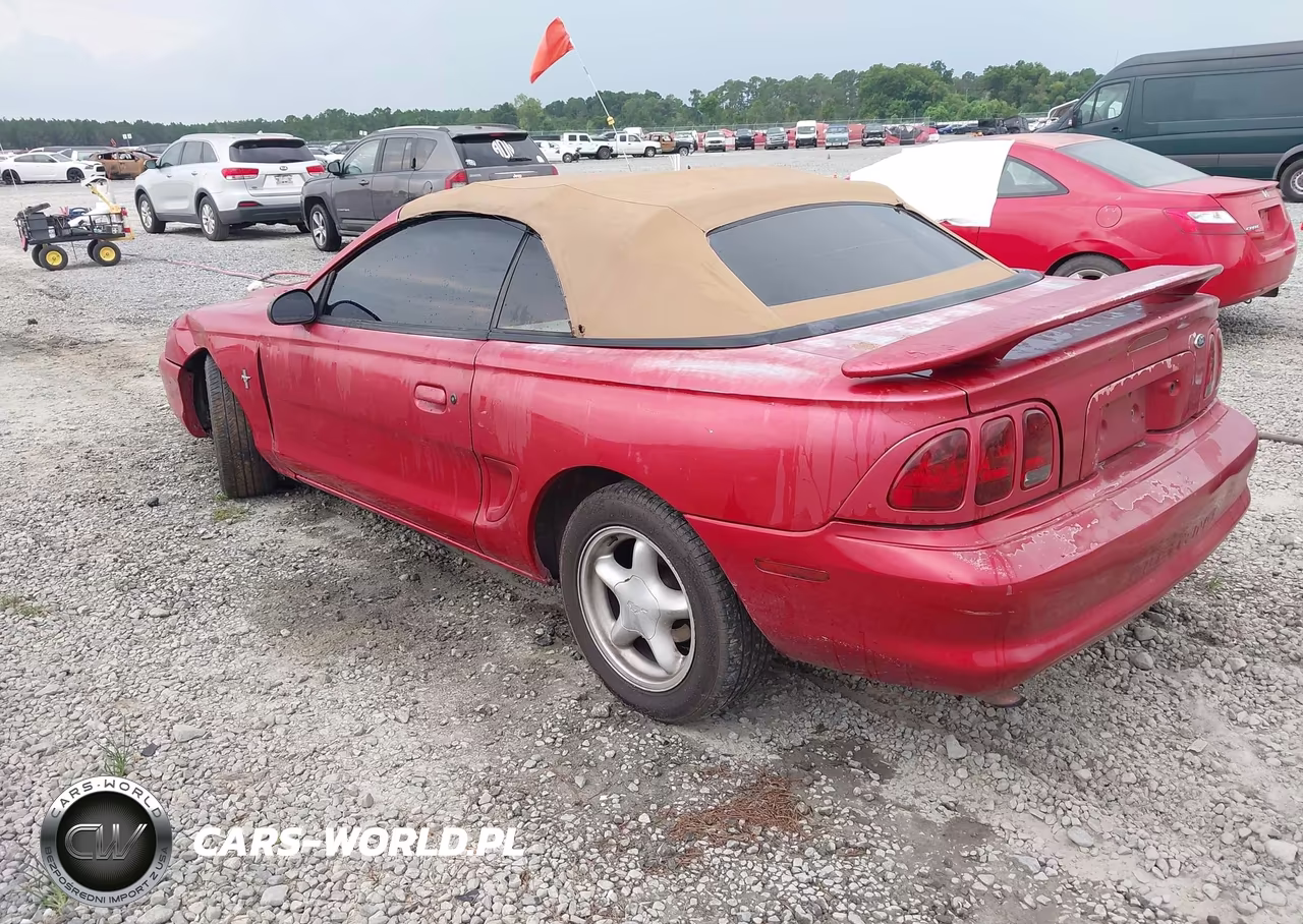 1998 Ford Mustang VIN:1FAFP4442WF271776 - 3