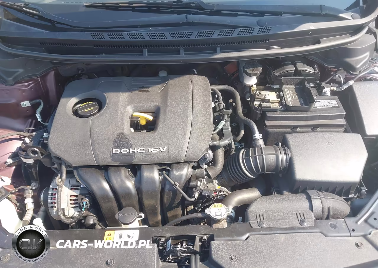 2017 Kia Forte Lx VIN:3KPFK4A74HE146993 - 10