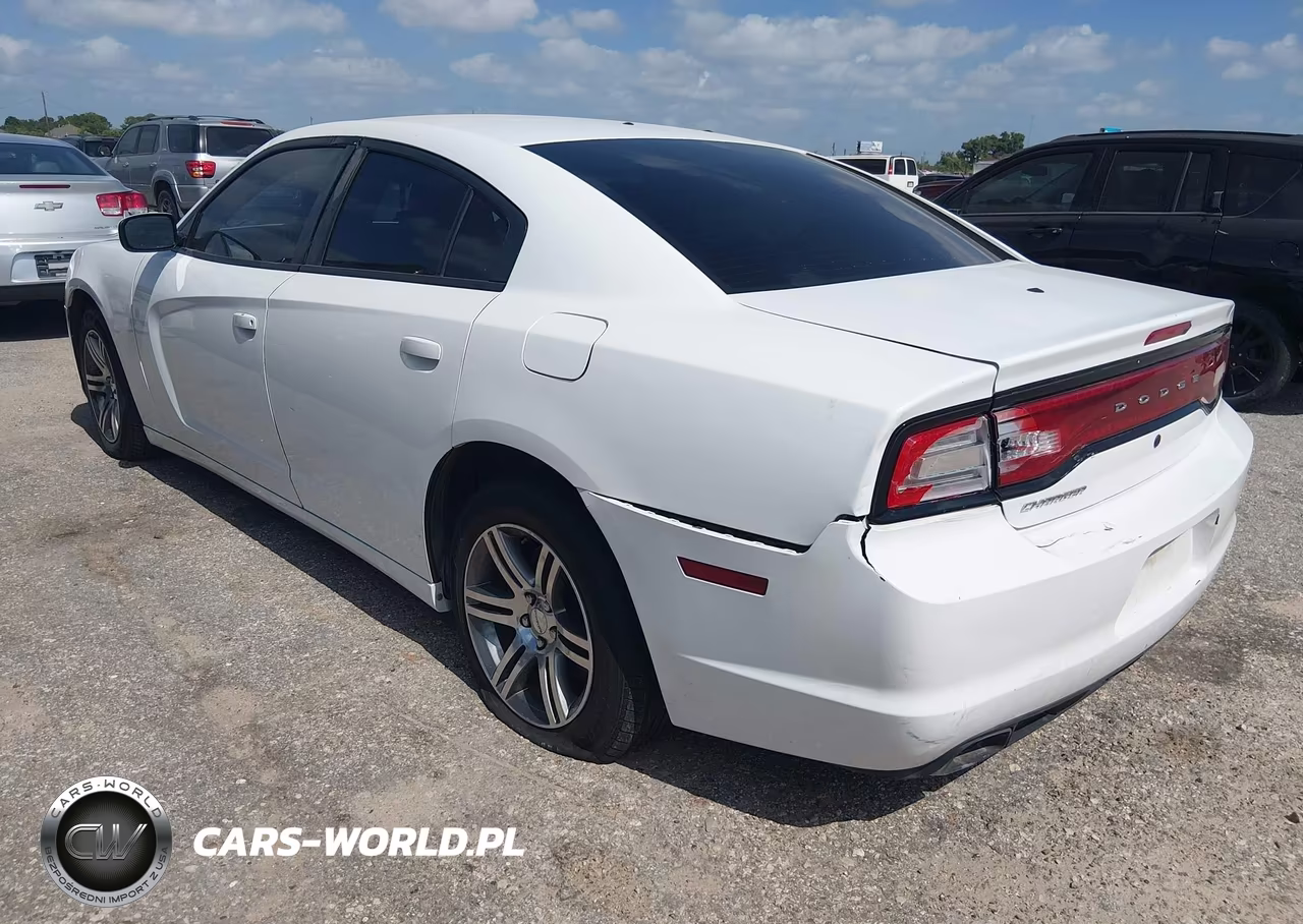 2013 Dodge Charger Police VIN:2C3CDXAG0DH522090 - 3