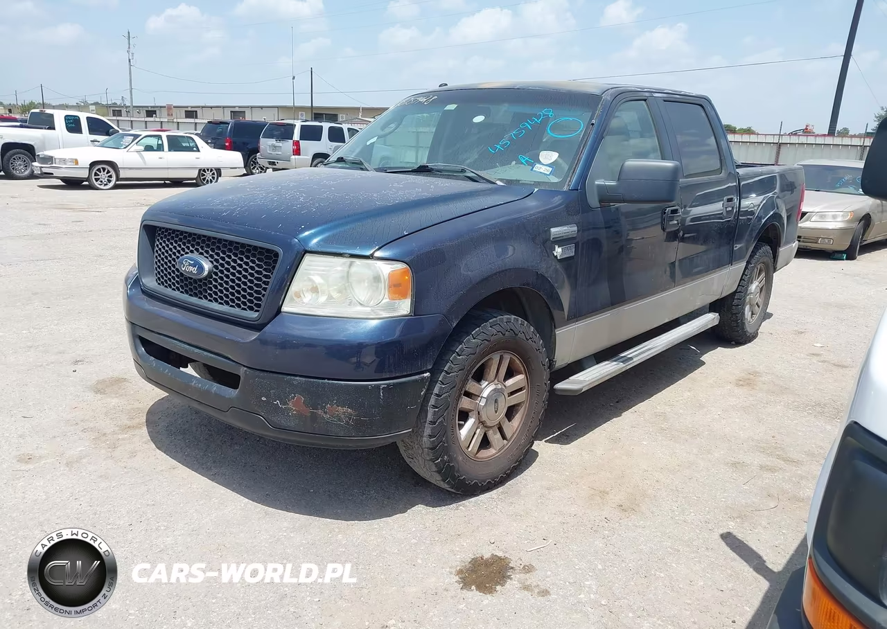 2006 Ford F-150 Xlt VIN:1FTRW12W26FA96782 - 2