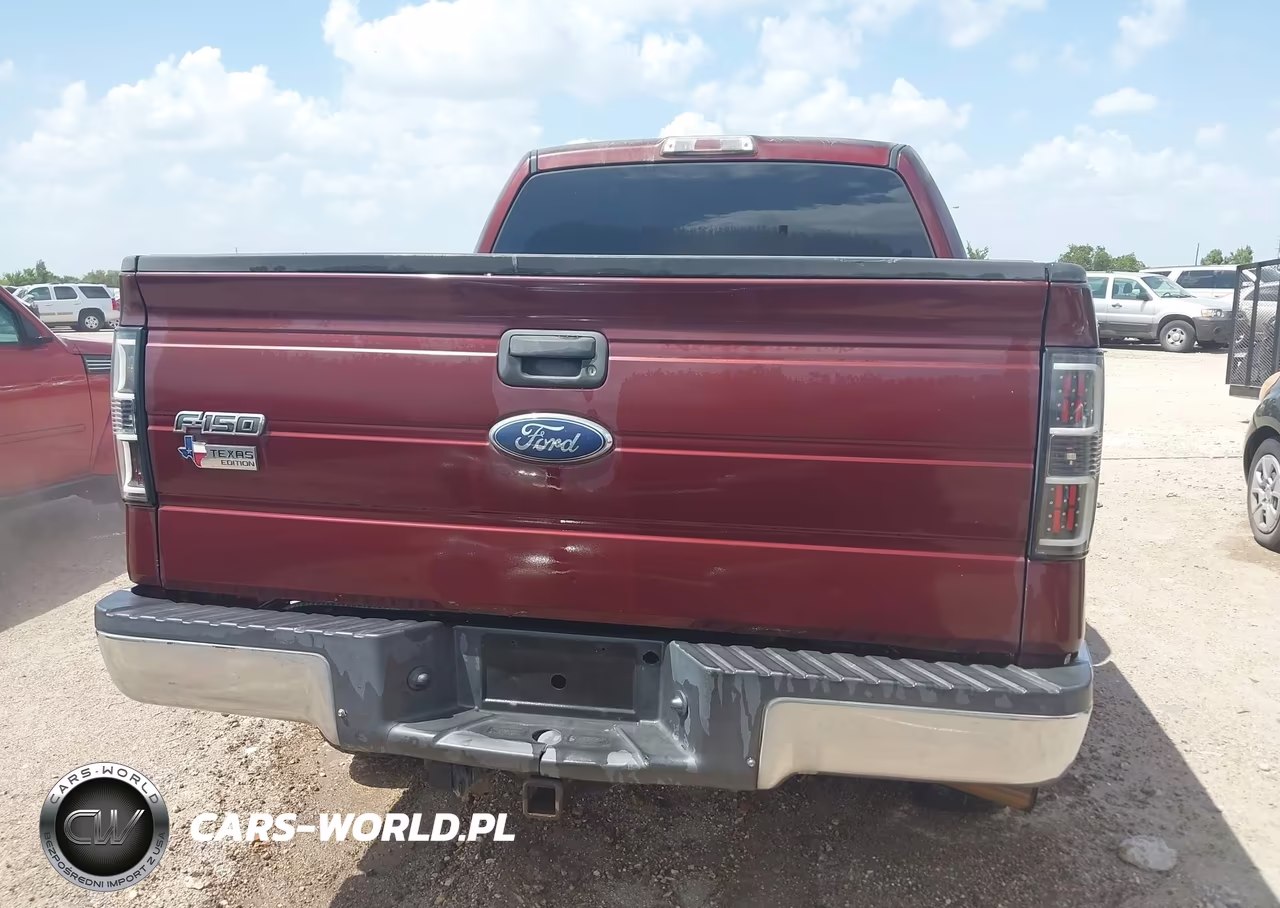 2010 Ford F-150 Fx2 Sport-Xl-Xlt VIN:1FTEW1C85AKA13957 - 16