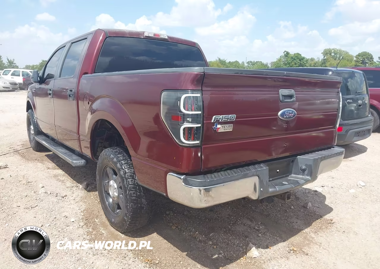 2010 Ford F-150 Fx2 Sport-Xl-Xlt VIN:1FTEW1C85AKA13957 - 3