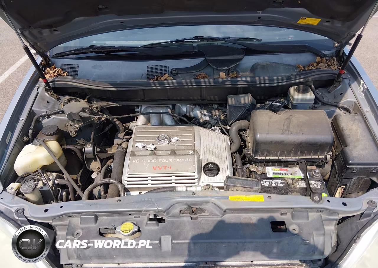 2001 Lexus Rx 300 VIN:JTJGF10U710091367 - 10