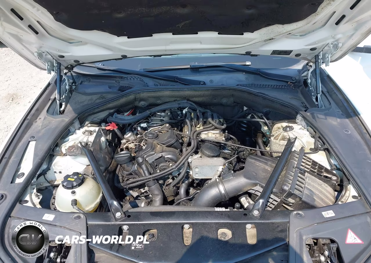 2016 BMW 528I VIN:WBA5A5C5XGG350659 - 10
