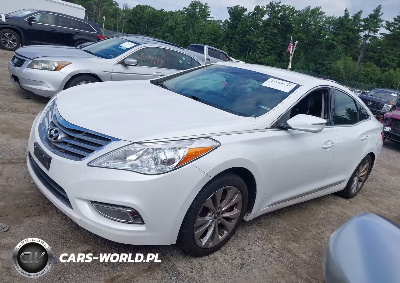 2014 Hyundai Azera VIN:KMHFG4JG8EA339515 - 2