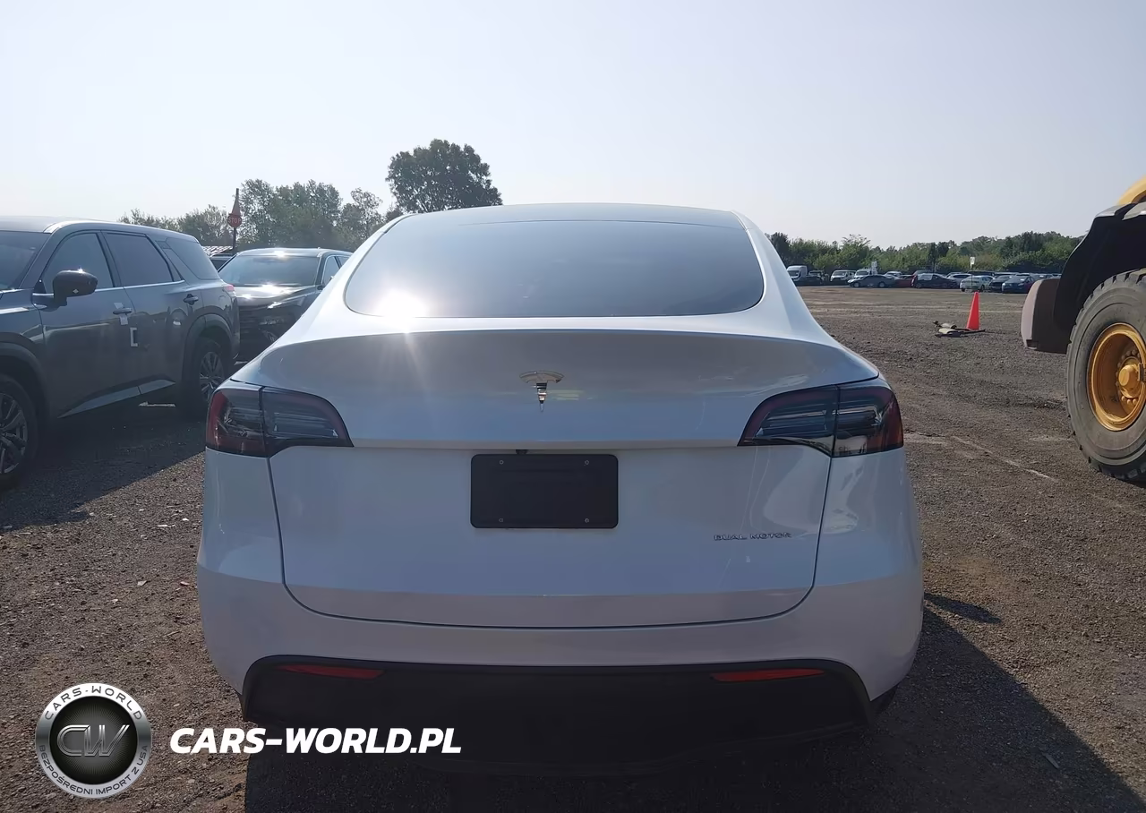 2023 Tesla Model Y Awd-Long Range Dual Motor All-Wheel Drive VIN:7SAYGDEE1PA124123 - 17
