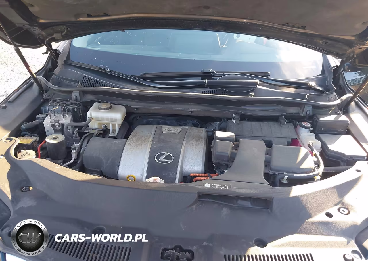 2020 Lexus Rx 450H VIN:2T2HGMDA3LC044234 - 10