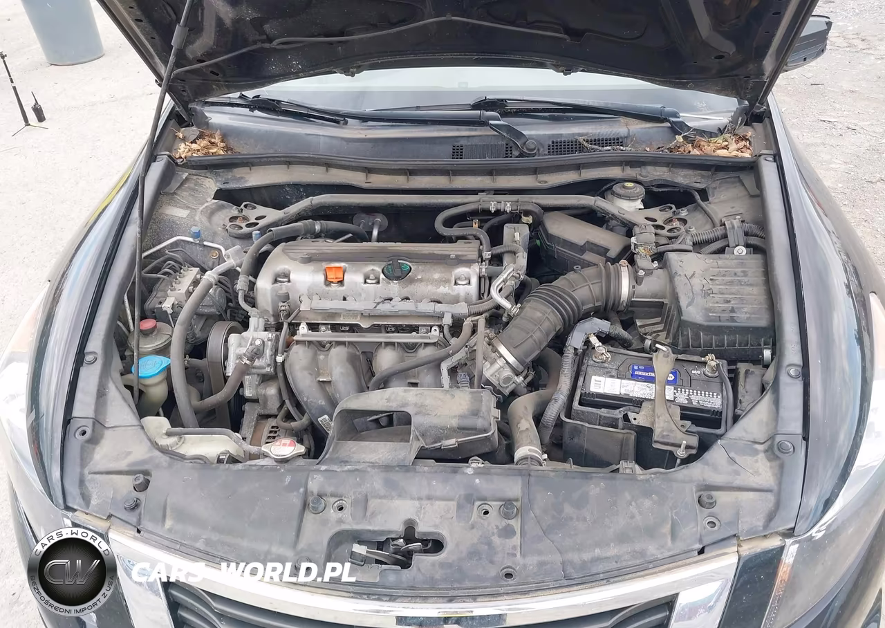 2010 Honda Accord 2.4 Ex-L VIN:1HGCP2F86AA177165 - 10