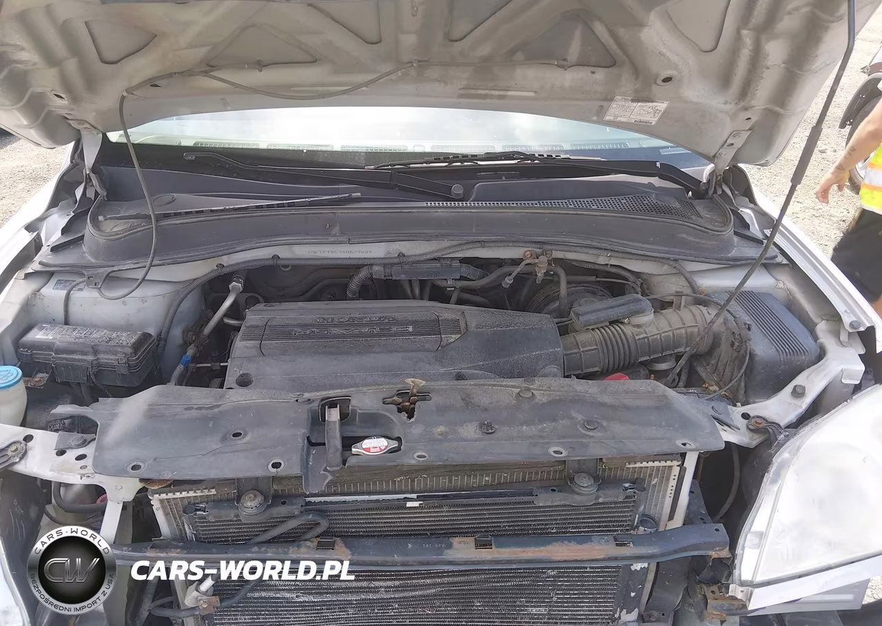 2004 Honda Pilot Ex-L VIN:2HKYF18574H529834 - 10