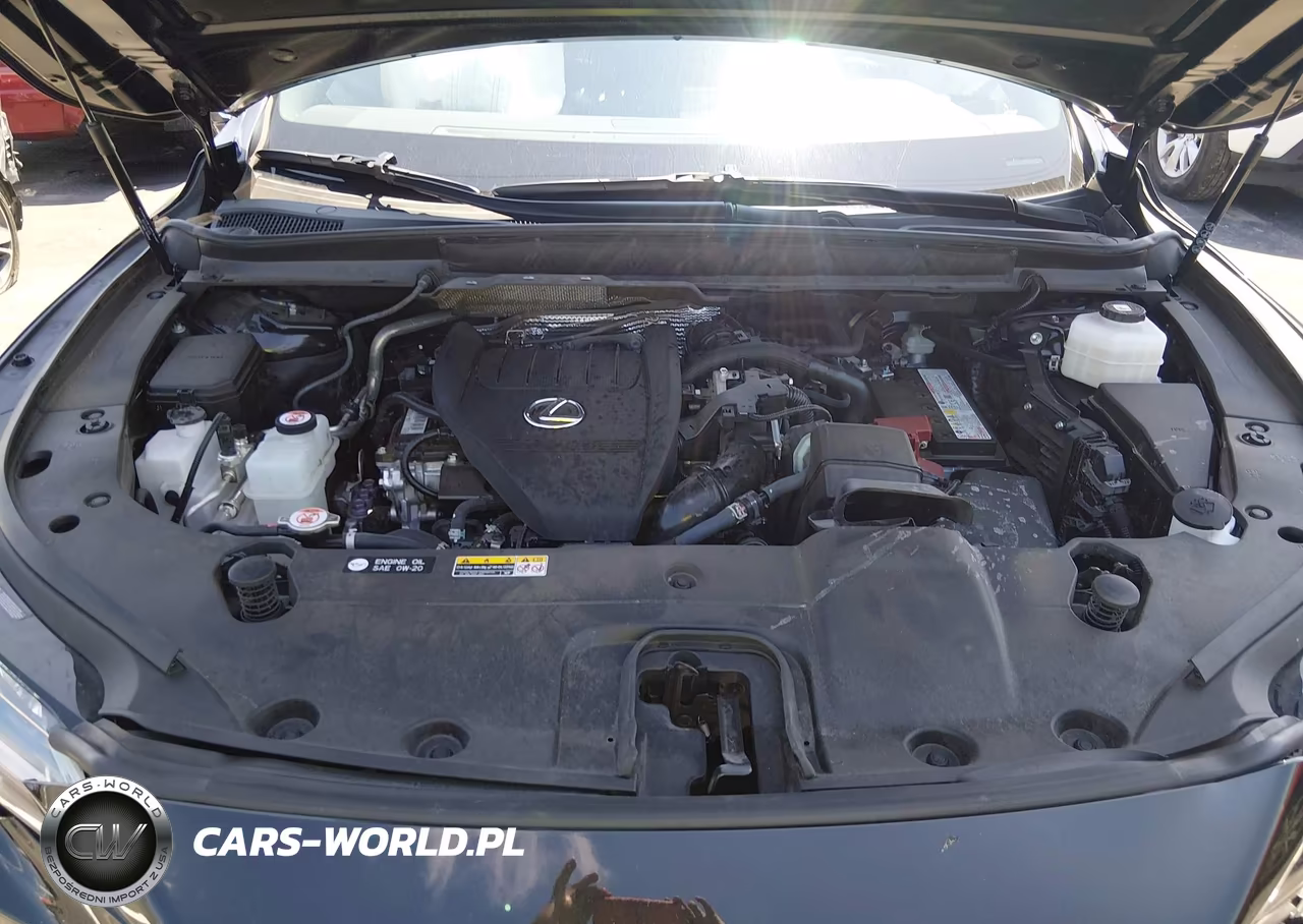 2025 Lexus Rx 350 Premium VIN:JTJCHMAA0S2031984 - 10