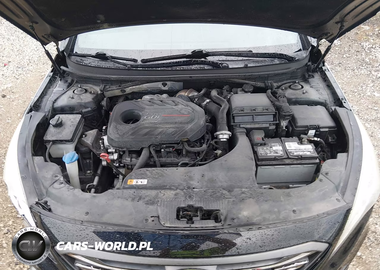 2015 Hyundai Sonata Sport 2.0T VIN:5NPE34AB9FH098509 - 10
