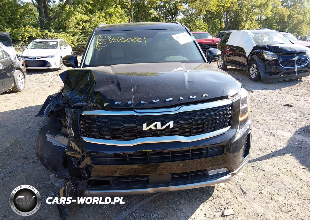2022 Kia Telluride Sx VIN:5XYP5DHC7NG209601 - 12