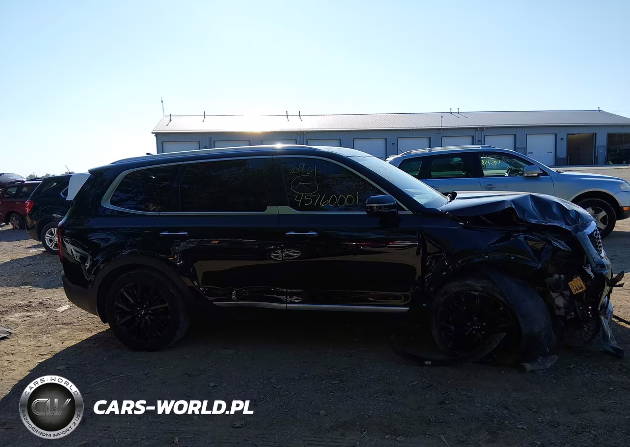 2022 Kia Telluride Sx VIN:5XYP5DHC7NG209601 - 13